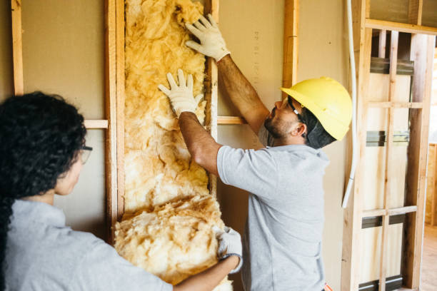 Best Attic Insulation Installation  in Stony Prairie, OH